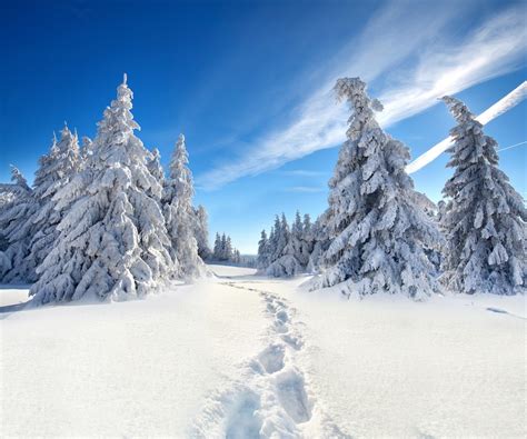 Winter .